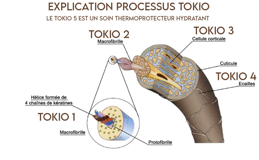 processus tokio inkarami